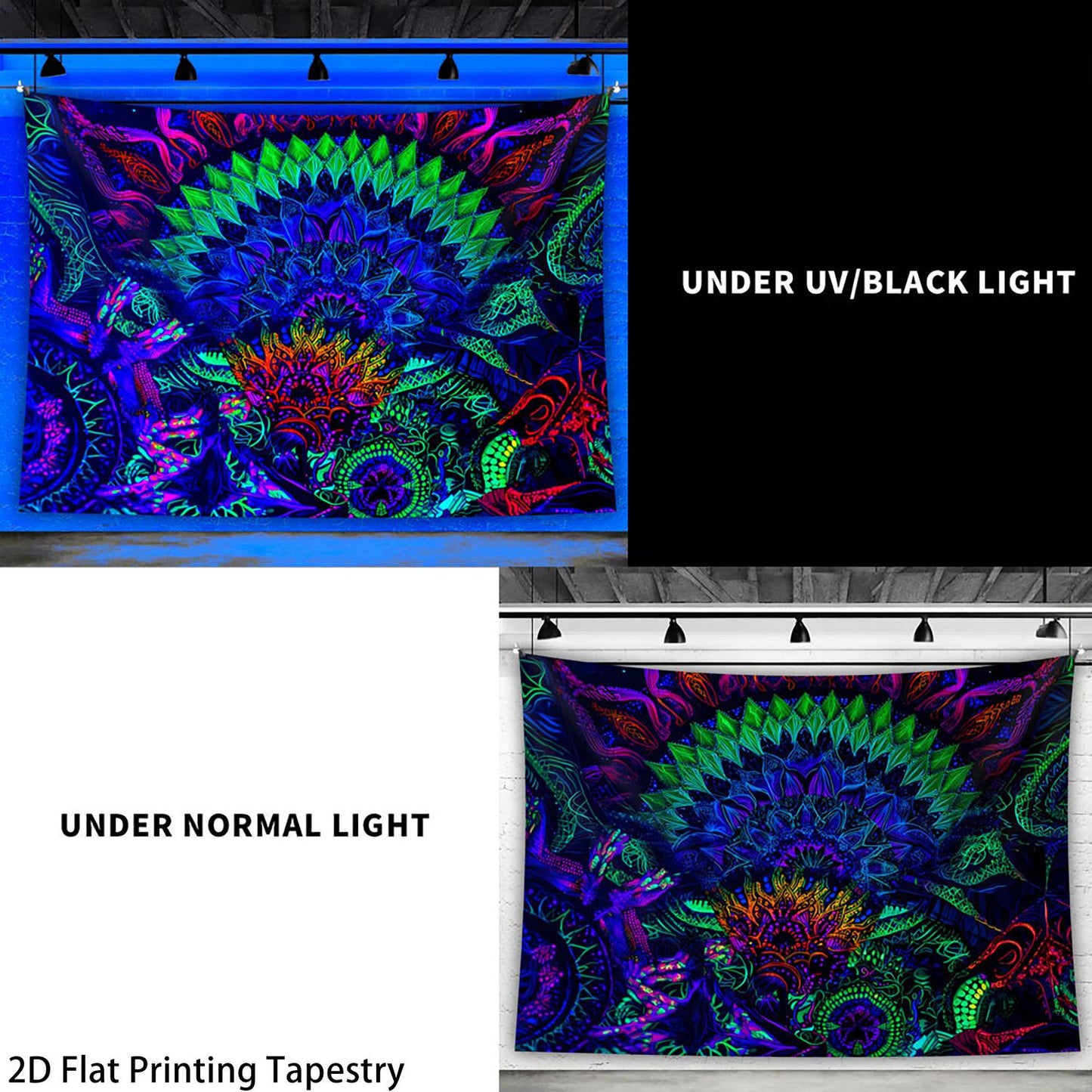 5ef8b486-f73a-435c-8736-5a6ce9cefa28